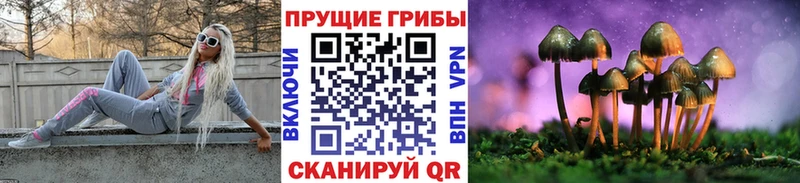 Галлюциногенные грибы MAGIC MUSHROOMS  где можно купить наркотик  Надым 
